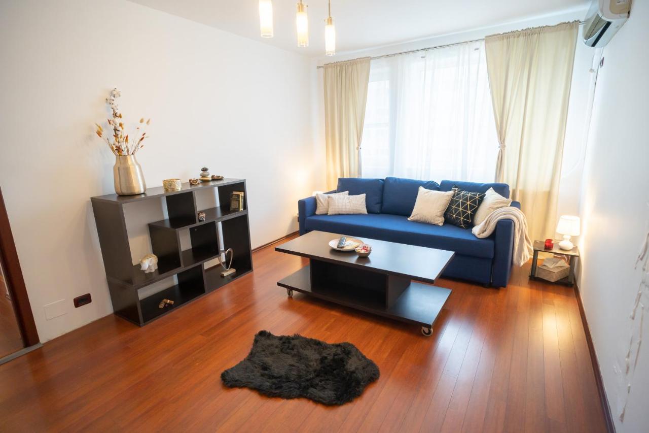 Spacious 2Br Dristor Apartment Bukarest Kültér fotó